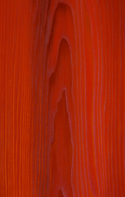 redmirrorreddetail